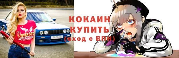 мяу мяу мука Аркадак