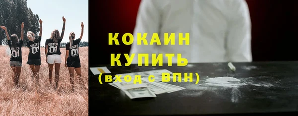 мяу мяу мука Аркадак